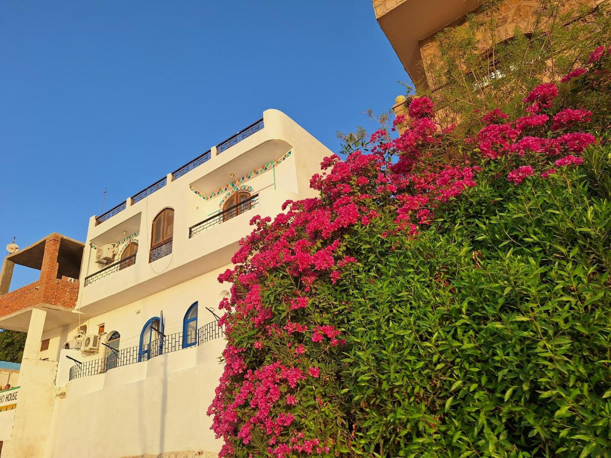 Apartment Nobatia Aswan